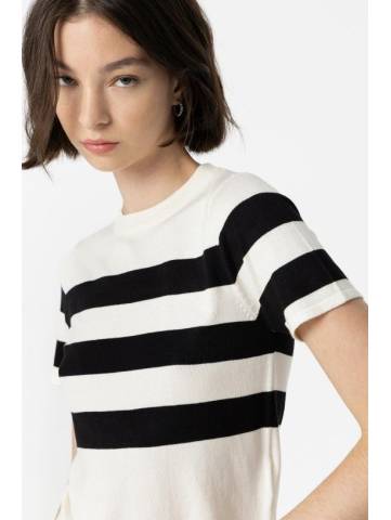 Jersey Claudie